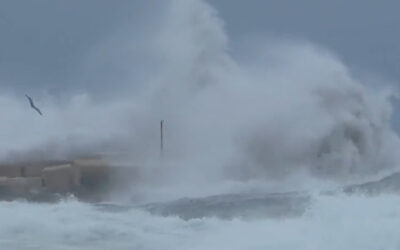 URAGANO HARRY: PARLA CARMELO BARBAGALLO